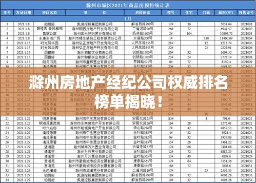 滁州房地产经纪公司权威排名榜单揭晓！