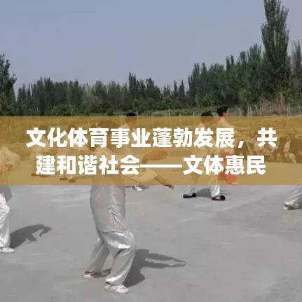 文化体育事业蓬勃发展，共建和谐社会——文体惠民新闻头条引领时代潮流