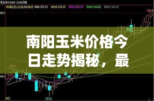 南阳玉米价格今日走势揭秘，最新行情分析