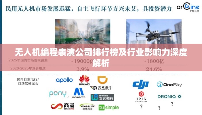 无人机编程表演公司排行榜及行业影响力深度解析