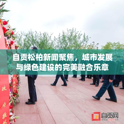 自贡松柏新闻聚焦，城市发展与绿色建设的完美融合乐章