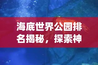 海底世界公园排名揭秘，探索神秘海底，畅游顶级旅游胜地！