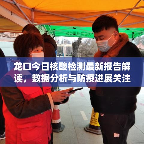 龙口今日核酸检测最新报告解读，数据分析与防疫进展关注焦点