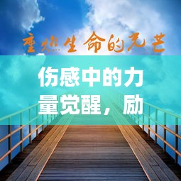 伤感中的力量觉醒，励志歌曲与语录的启示之旅