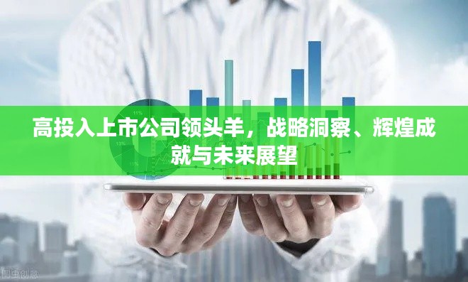 高投入上市公司领头羊，战略洞察、辉煌成就与未来展望