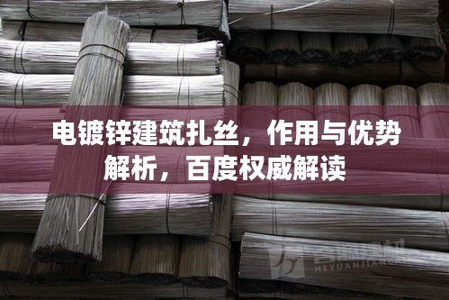 电镀锌建筑扎丝，作用与优势解析，百度权威解读