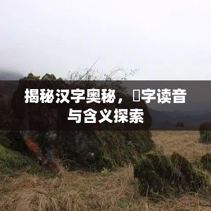 揭秘汉字奥秘，蹟字读音与含义探索
