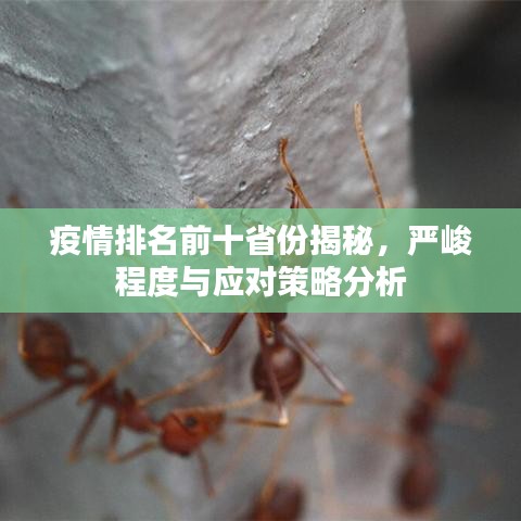 疫情排名前十省份揭秘，严峻程度与应对策略分析