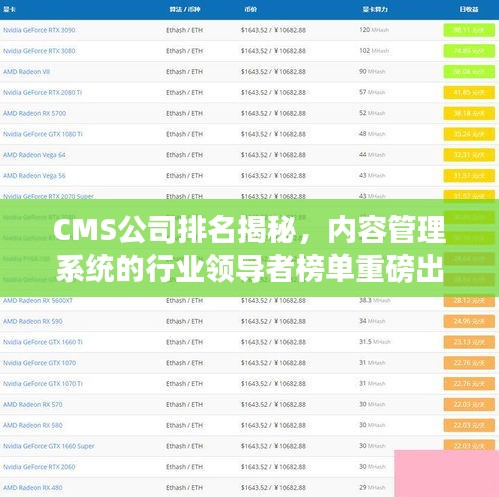 CMS公司排名揭秘，内容管理系统的行业领导者榜单重磅出炉！