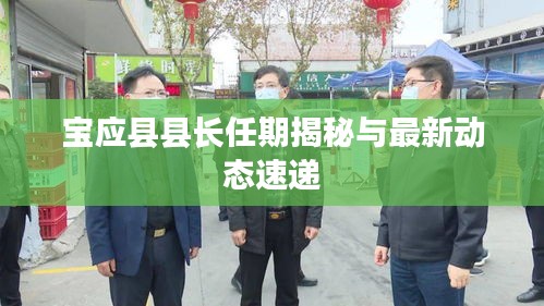 宝应县县长任期揭秘与最新动态速递