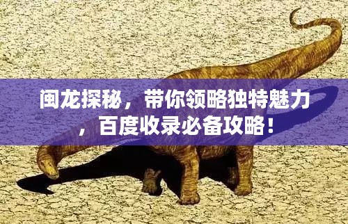 闽龙探秘，带你领略独特魅力，百度收录必备攻略！