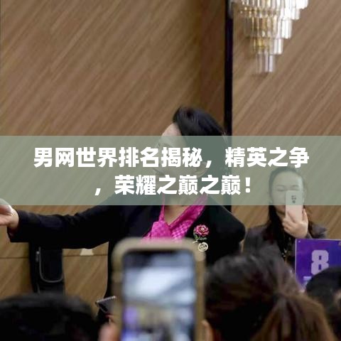 男网世界排名揭秘，精英之争，荣耀之巅之巅！
