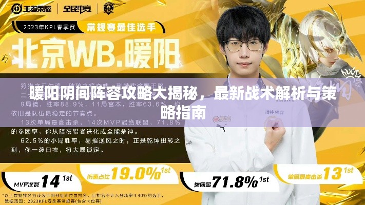 暖阳阴间阵容攻略大揭秘，最新战术解析与策略指南