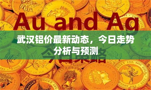 武汉铝价最新动态，今日走势分析与预测