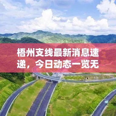 梧州支线最新消息速递，今日动态一览无余！