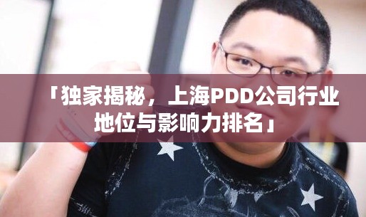 「独家揭秘，上海PDD公司行业地位与影响力排名」