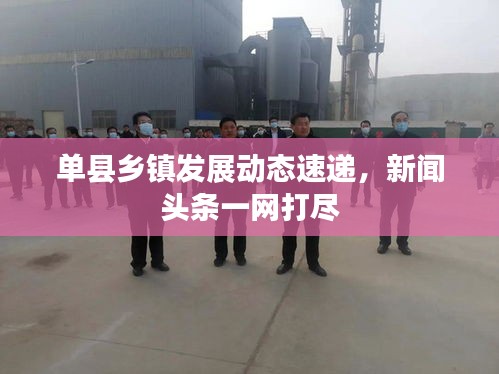 单县乡镇发展动态速递，新闻头条一网打尽