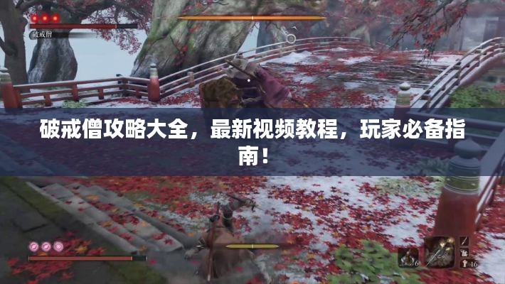 破戒僧攻略大全，最新视频教程，玩家必备指南！