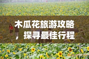 木瓜花旅游攻略，探寻最佳行程，探访美丽木瓜花世界