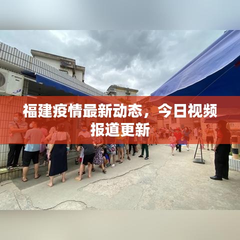 福建疫情最新动态，今日视频报道更新