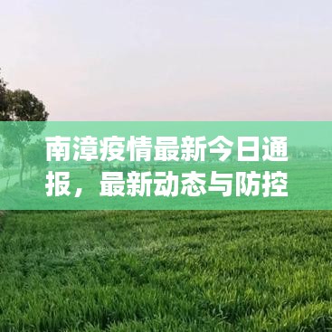 南漳疫情最新今日通报，最新动态与防控进展揭秘