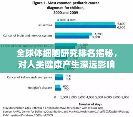 全球体细胞研究排名揭秘，对人类健康产生深远影响