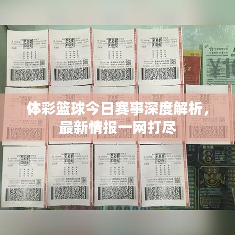 体彩篮球今日赛事深度解析，最新情报一网打尽