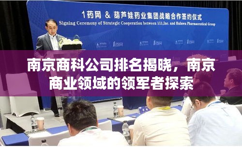 南京商科公司排名揭晓，南京商业领域的领军者探索