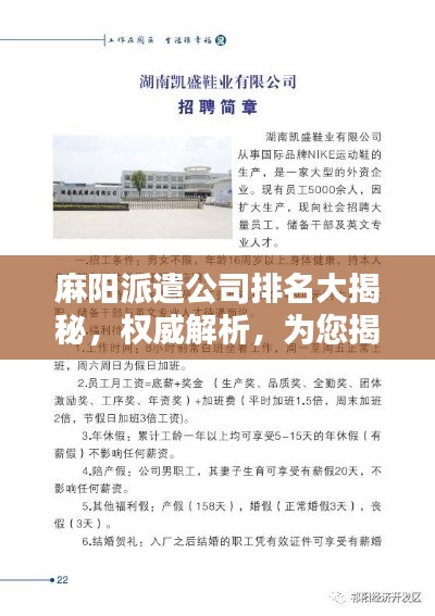 麻阳派遣公司排名大揭秘，权威解析，为您揭示行业领导者！