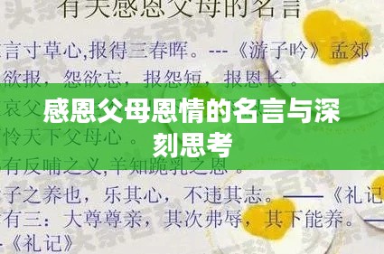 感恩父母恩情的名言与深刻思考