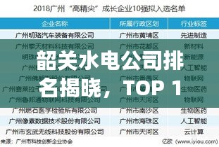 韶关水电公司排名揭晓，TOP 10企业榜单重磅出炉！