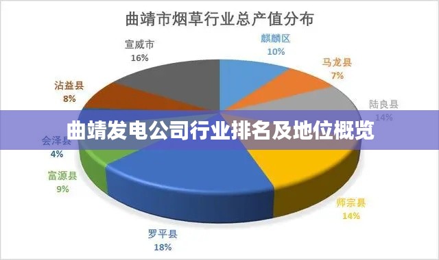 曲靖发电公司行业排名及地位概览