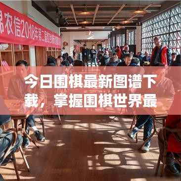 今日围棋最新图谱下载，掌握围棋世界最新动态，洞悉棋局变化！