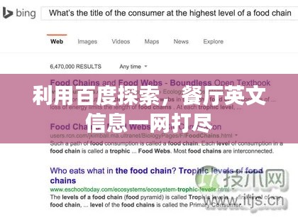 利用百度探索，餐厅英文信息一网打尽