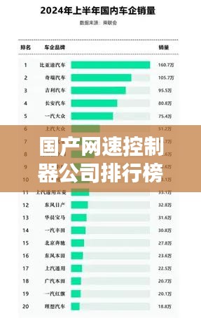 国产网速控制器公司排行榜揭晓，领先企业一览