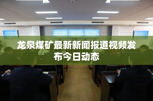 龙泉煤矿最新新闻报道视频发布今日动态