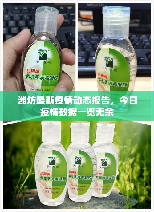 潍坊最新疫情动态报告，今日疫情数据一览无余