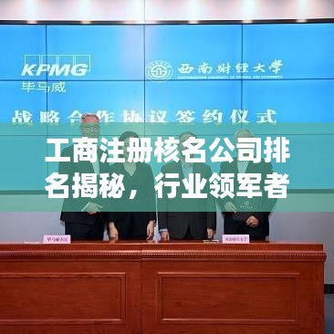 工商注册核名公司排名揭秘，行业领军者的成功奥秘探索
