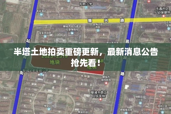 半塔土地拍卖重磅更新，最新消息公告抢先看！