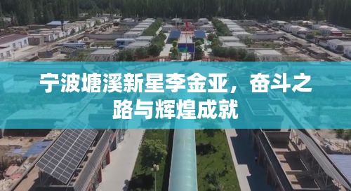 宁波塘溪新星李金亚，奋斗之路与辉煌成就