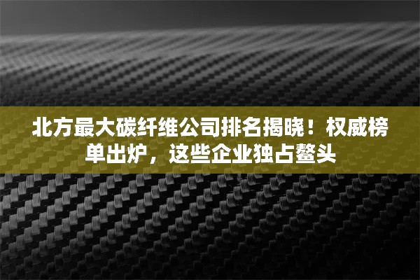 北方最大碳纤维公司排名揭晓！权威榜单出炉，这些企业独占鳌头