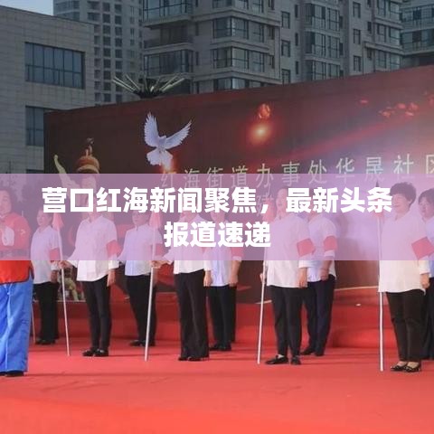 营口红海新闻聚焦，最新头条报道速递