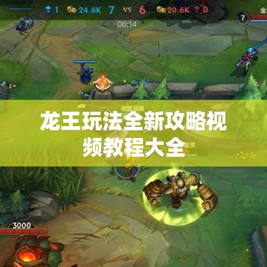 龙王玩法全新攻略视频教程大全
