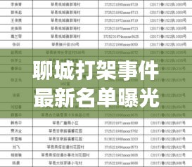 聊城打架事件最新名单曝光，最新消息查询汇总