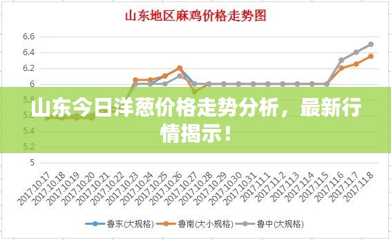 山东今日洋葱价格走势分析，最新行情揭示！