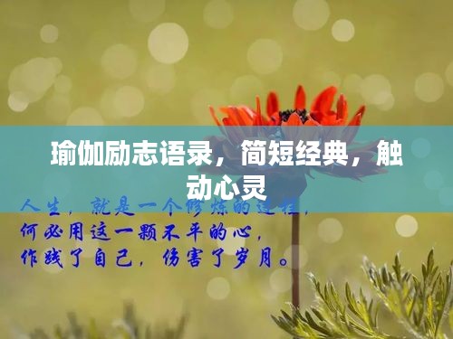 瑜伽励志语录，简短经典，触动心灵