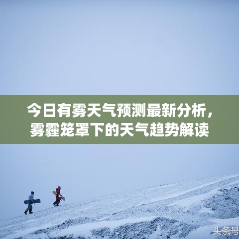今日有雾天气预测最新分析，雾霾笼罩下的天气趋势解读