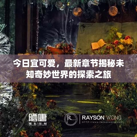 今日宜可爱，最新章节揭秘未知奇妙世界的探索之旅