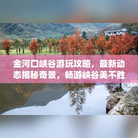 金河口峡谷游玩攻略，最新动态揭秘奇景，畅游峡谷美不胜收