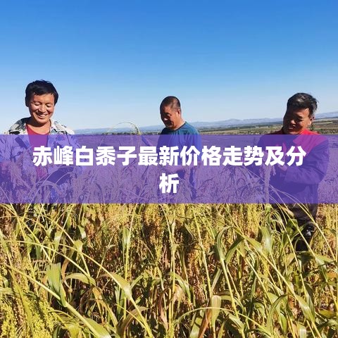 赤峰白黍子最新价格走势及分析